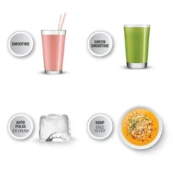 Sage SBL 820 SHY The Q Blender -Hario Shop sage the q blender 3174